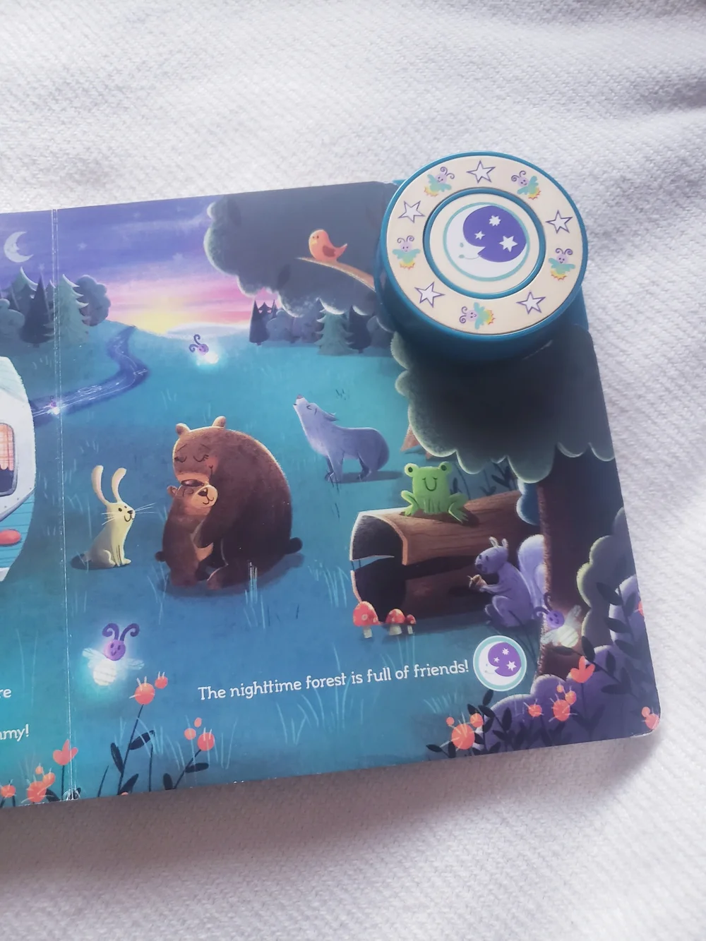 Brave Little Camper Early Bird Sound Book